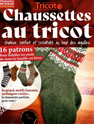 Projets Tricot(Mes) n°7