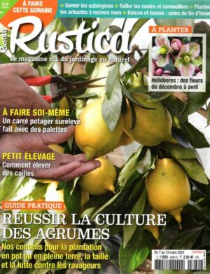 Rustica n°2880