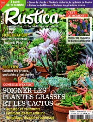 Rustica n°2906