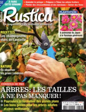 Rustica n°2914