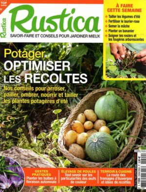Rustica