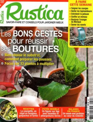 Rustica
