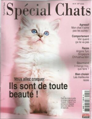 Special Chats n°47