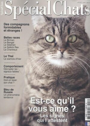 Special Chats n°53