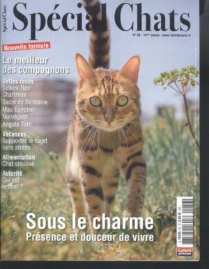 Special Chats n°56