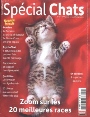 Special Chats n°57