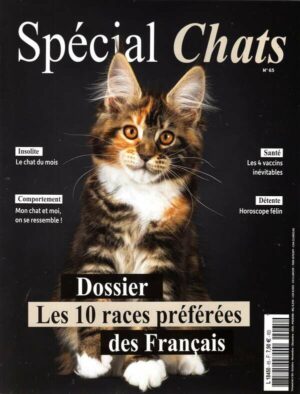 Special Chats n°65