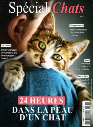 Special Chats n°67