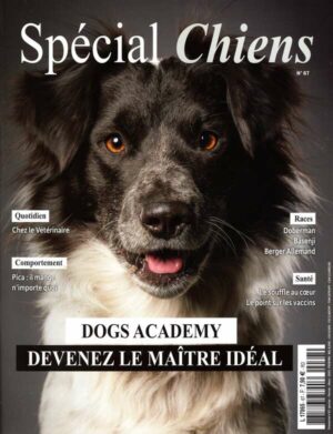 Special Chiens n°67