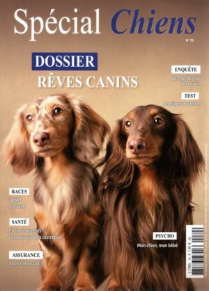 Special Chiens