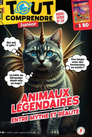 Tout Comprendre Junior H.S.
