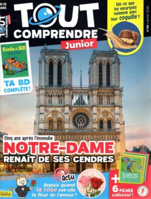 Tout Comprendre Junior n°141