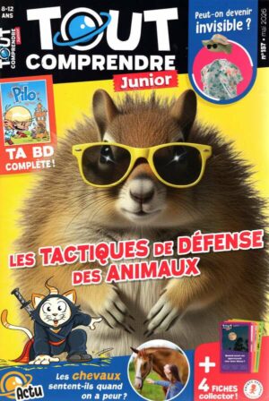 Tout Comprendre Junior
