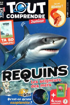 Tout Comprendre Junior