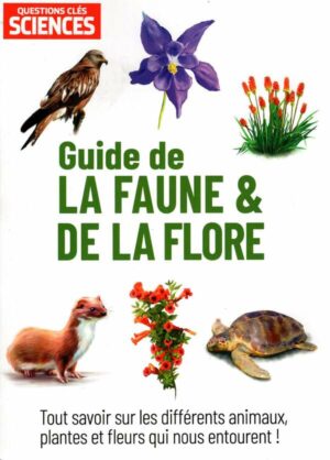 Questions Clés Sciences n°48