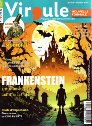 Virgule n°243